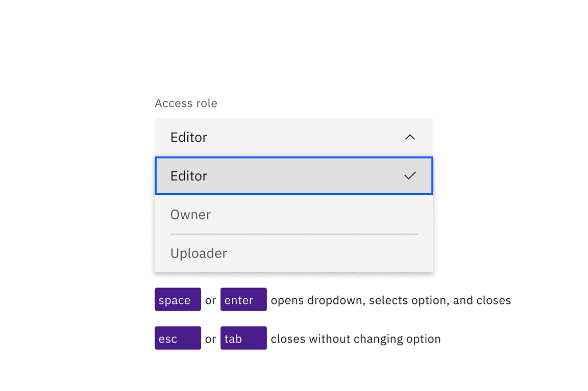 Dropdowns are activated and their options selected with Space or Enter keys. Esc closes without changing option